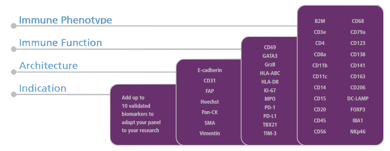 Orion System Overview